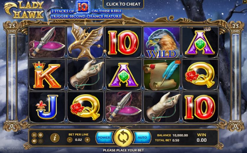 ตัวอย่างเกม Lady Hawk