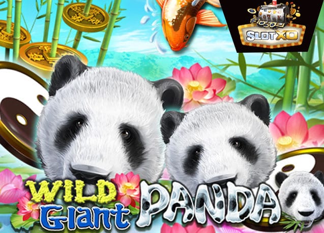 ทดลองเล่น Wild Giant Panda