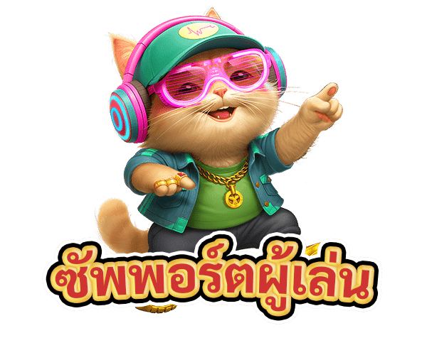 ซัพพอร์ตผู้เล่น