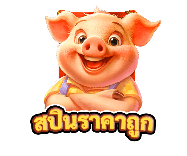 สปินราคาถูก