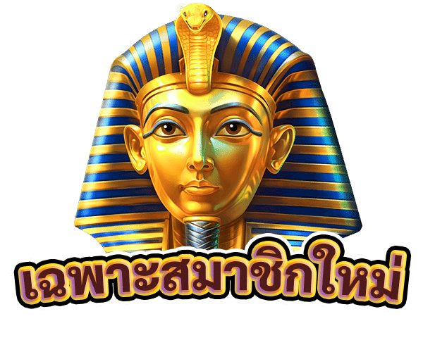 เฉพาะสมาชิกใหม่