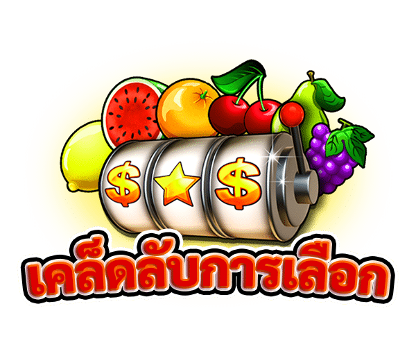 เคล็ดลับการเลือก