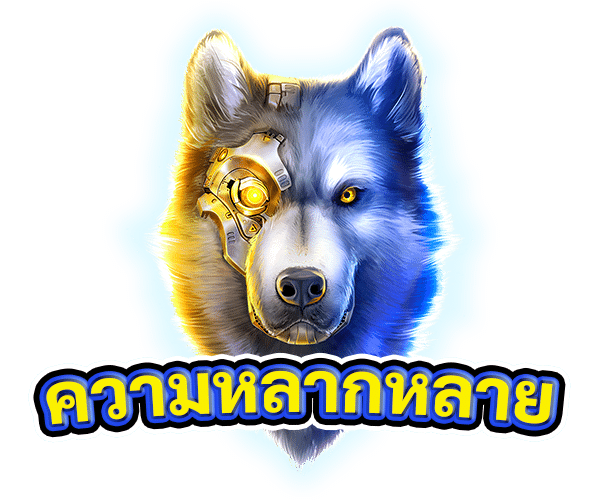 ความหลากหลาย