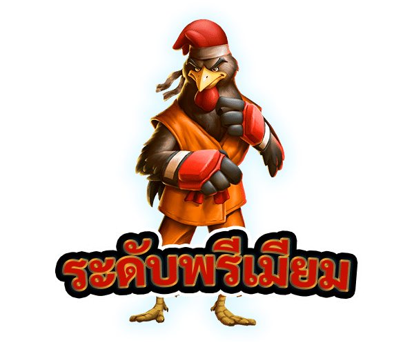 ระดับพรีเมียม
