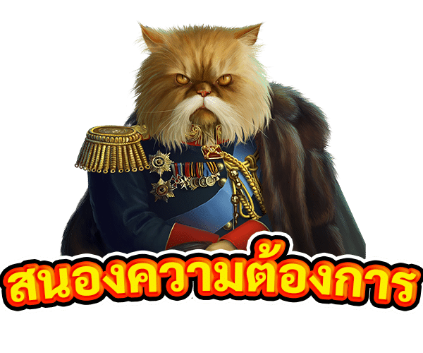 สนองความต้องการ