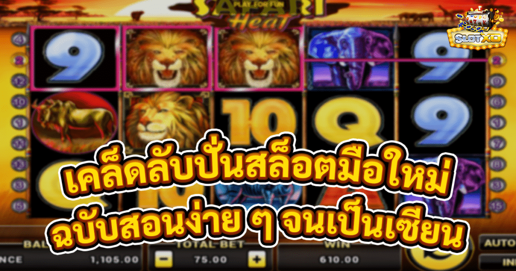 เคล็ดลับนักปั่นสล็อตมือใหม่