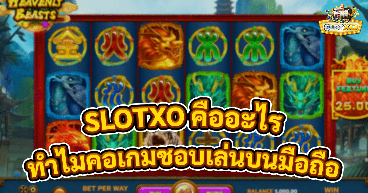 SLOTXO คืออะไร