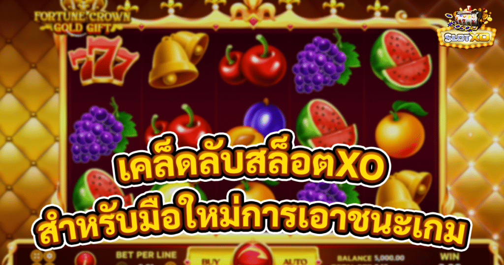 เคล็ดลับสล็อตXO