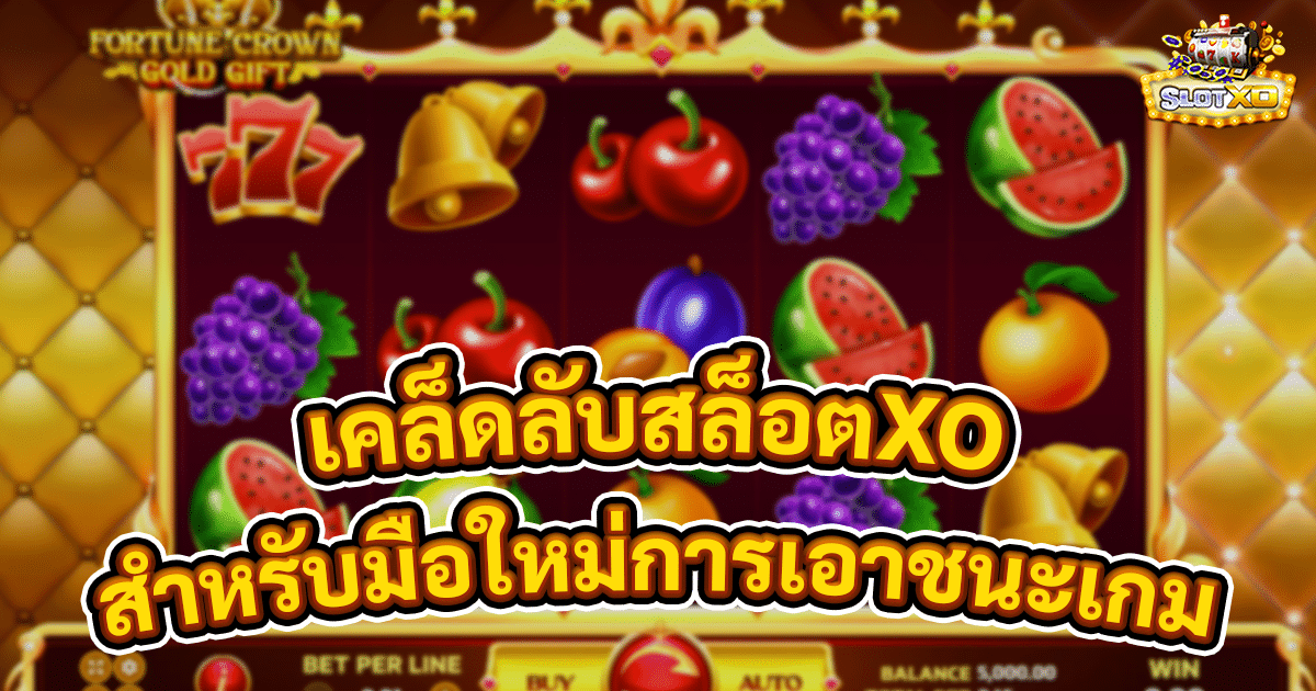 เคล็ดลับสล็อตXO