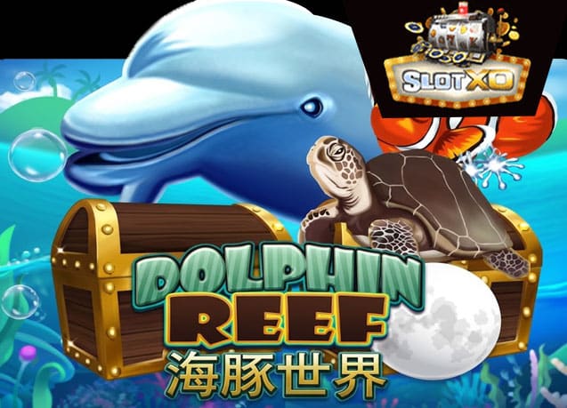 ทดลองเล่น Dolphin Reef