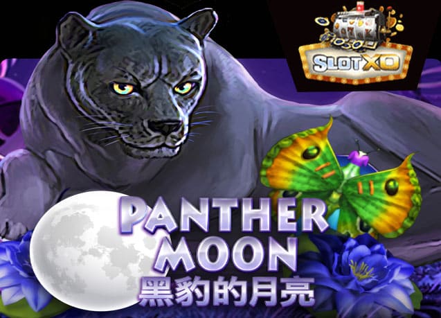 ทดลองเล่น Panther Moon